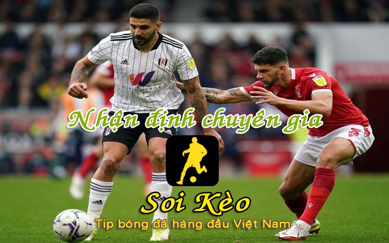 Soi Kèo Nottingham - Fulham