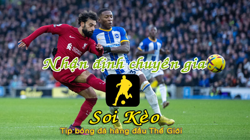 Soi Kèo Brighton - Liverpool