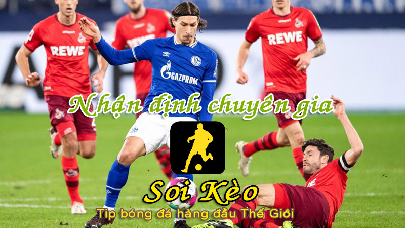 Soi Kèo Schalke - Stuttgart