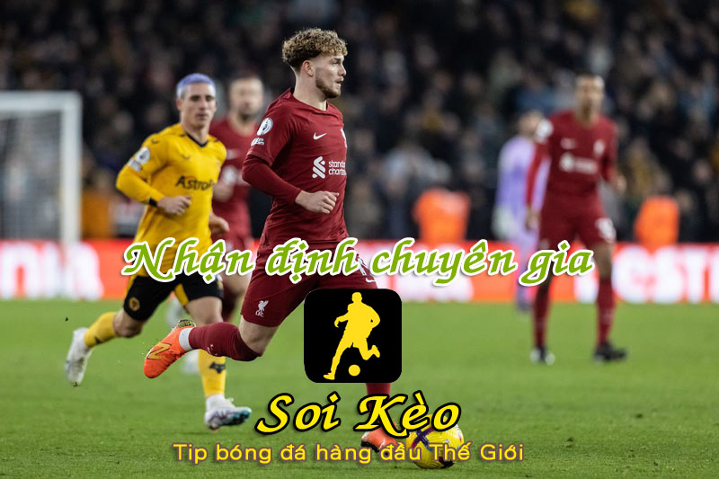 Soi Kèo Liverpool - Wolves