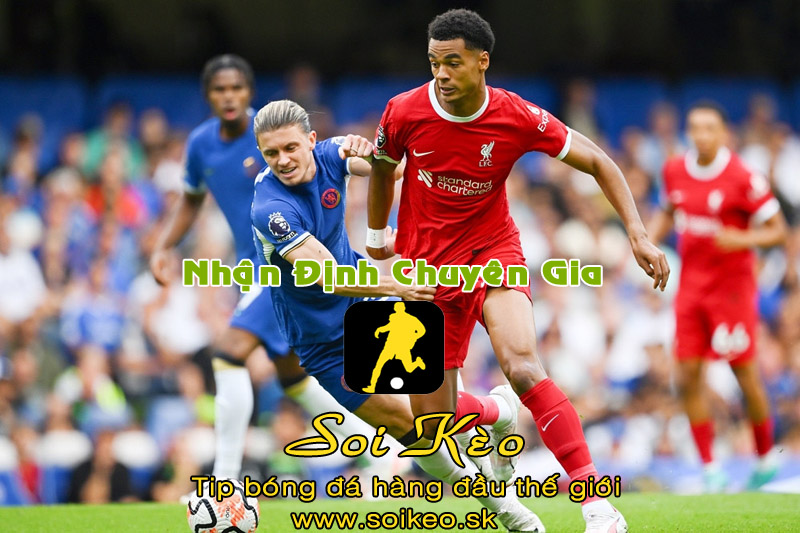 Soi Kèo tip bóng đá Liverpool - Chelsea