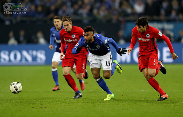 Nhận định Soi Kèo Schalke vs Eintracht Frankfurt, 20h30 ngày 15/05